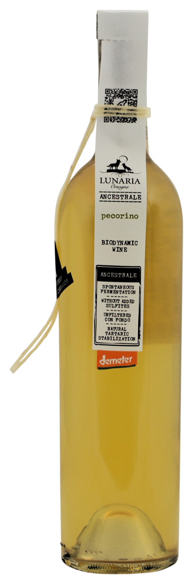 LUNARIA ANCESTRALE 13% Pecorino Biodynamic wine 75cl